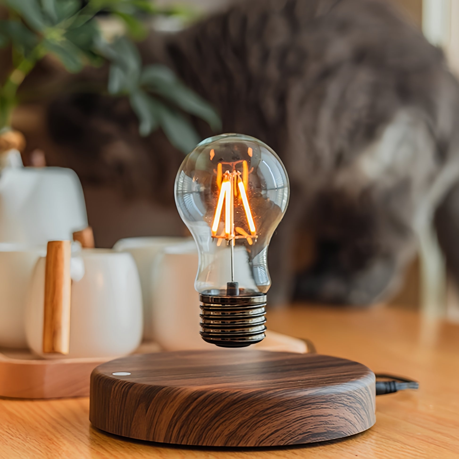 Custom floating pet portrait light bulb in action, levitating