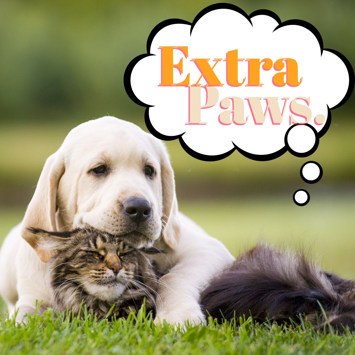 Extra Pet Addon