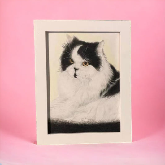 Custom made meticulously hand-drawn color sketch pet portrait featuring a black and white cat  