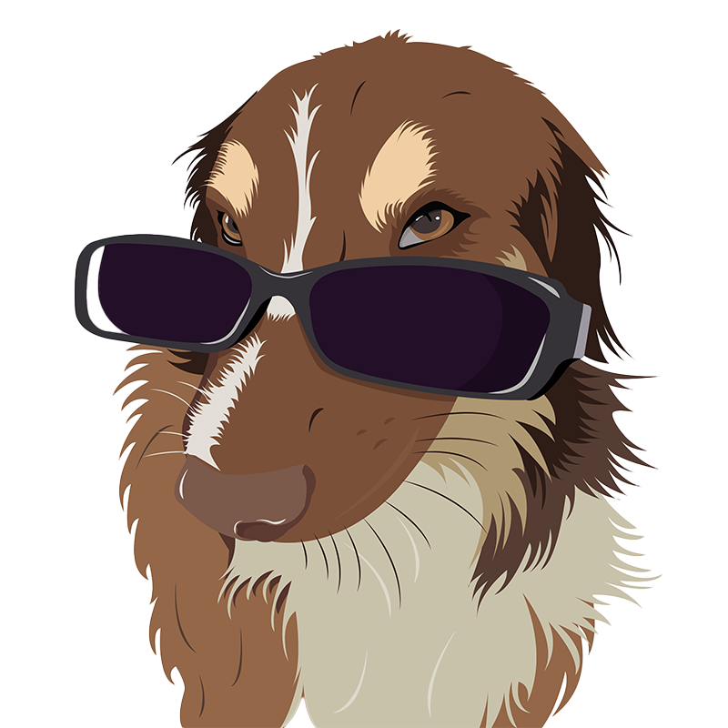 Meet Uni, sporting stylish sunglasses in a custom dog portrait from Petnoya, perfect for pet owners looking for unique gifts and personalized 3D pet portraits from photos.