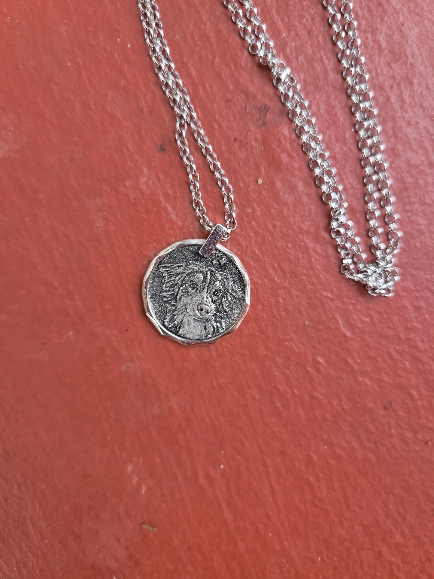 Fully customizable pet coin, personalized dog coin, memorabilia, custom sterling silver coin, custom necklace coin, custom birthday gift