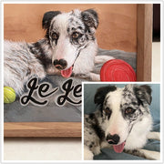 Side view of a custom pet portrait hand-carved leather frame with a detailed dog image and the name 'Le Le'